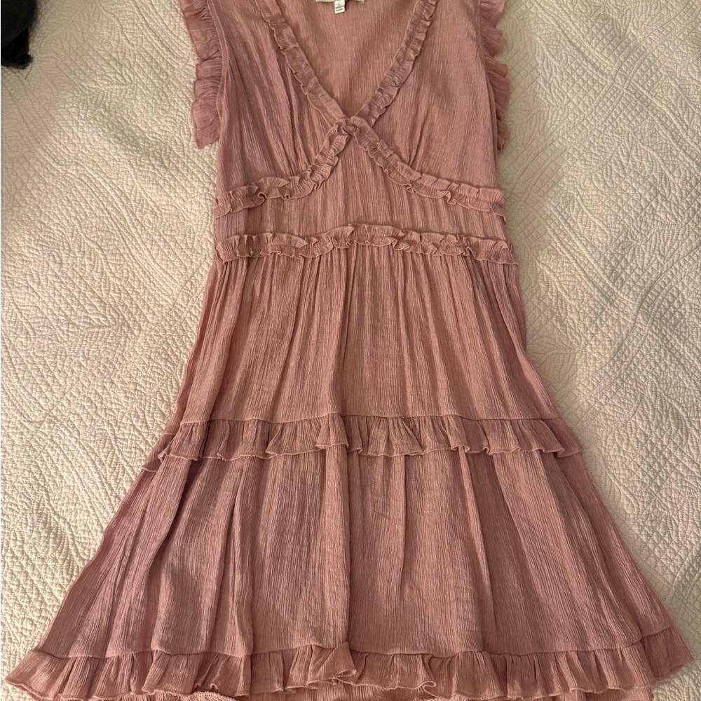 Pinch Blush Pink Ruffled Dress